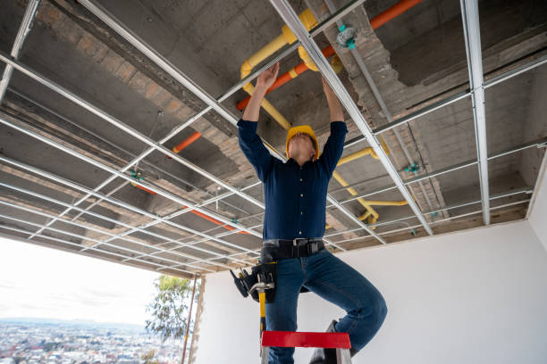 Best Same-Day Plumbing Service  in Myrtle Grove, NC